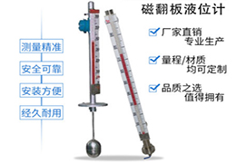 顶装式磁翻板液位计