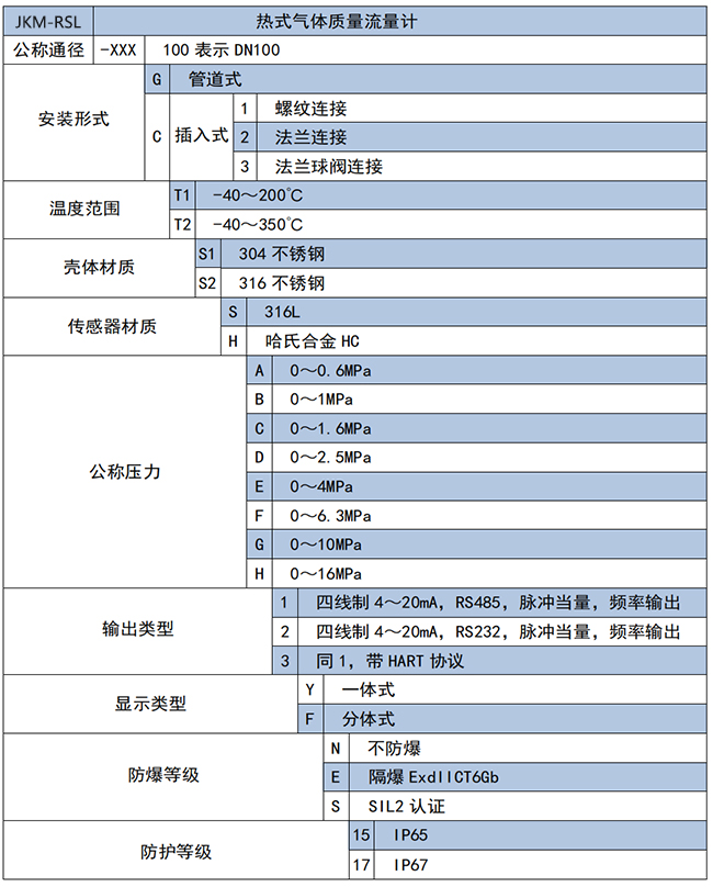 DN80热式气体质量流量计选项表